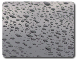 Professional Auto Reconditioning Training Professional Auto Reconditioning Training